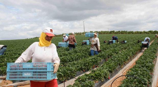 هذه هي مبالغ الحد الأدنى للأجور في قطاع الصناعة والتجارة والمهن الحرة والفلاحة