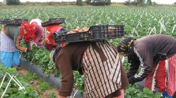 Covid-19 : L’Espagne fait appel aux immigrés pour prêter main forte et sauver l…