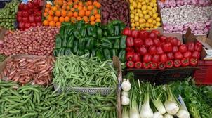 Le Maroc premier fournisseur du marché espagnol en fruits et légumes frais