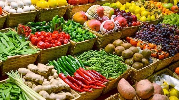 فيدرالية: عملية تزويد السوق الوطني بكل أنواع الفواكه تمر في ظروف عادية