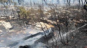 Canicule: Trois incendies de forêts déclarés en une semaine