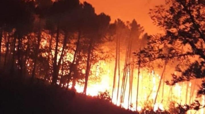 Mobilisation exceptionnelle pour éteindre un vaste incendie au Portugal, 20 ble…