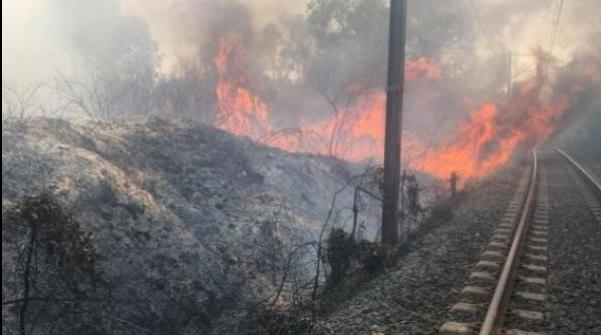Incendie au bord des voies ferrées entre Assilah et Tnine Sidi Lyamani : le tra…
