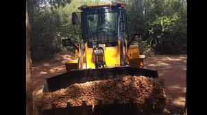 Berkane : Destruction de 136 tonnes de pommes de terre périmées