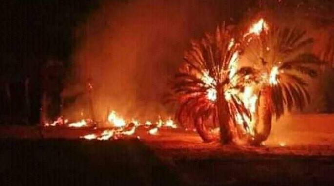 السيطرة شبه نهائيا على حريق غابة حوز الملاليين بعمالة المضيق-الفنيدق
