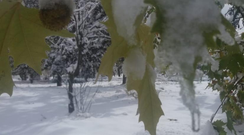 Les images des premières chutes de neige à Ifrane