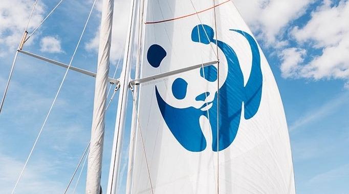 Le voilier "Blue panda'' fait escale à Tanger