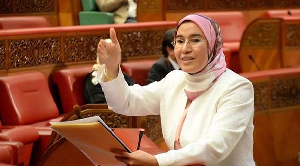 الوفي:مساهمة مغاربة العالم في بلورة النموذج التنموي الجديد قيمة مضافة كبرى