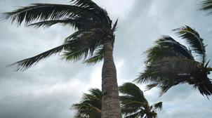 Météo : Temps froid et ciel nuageux ce mercredi 12 février