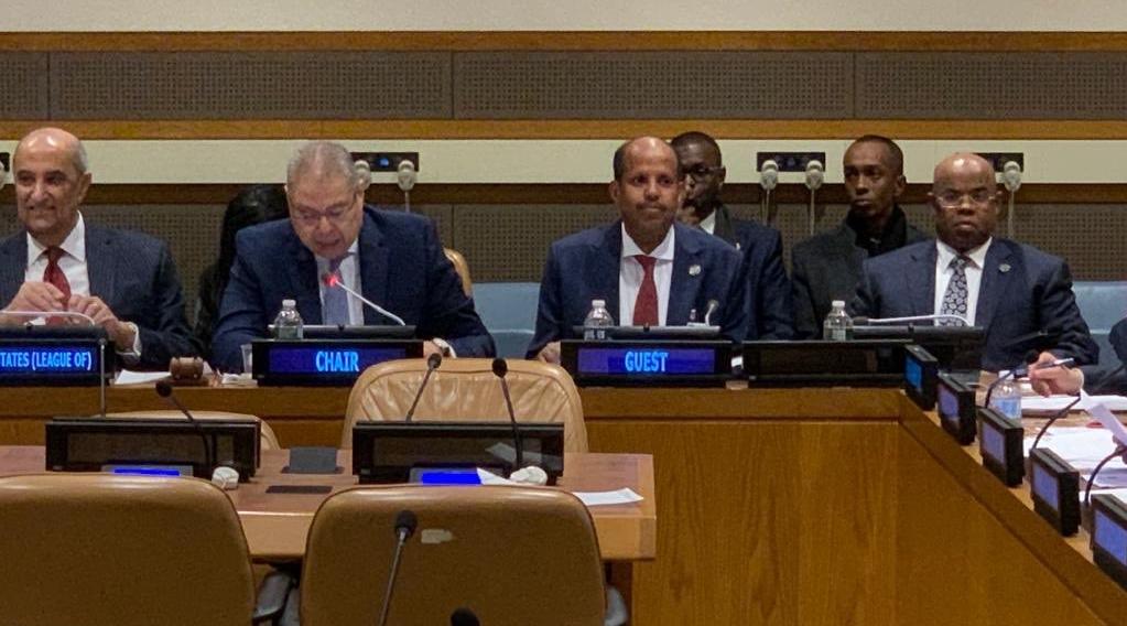 Djibouti et Kenya en campagne pour le poste de membre non-permanent au Conseil …