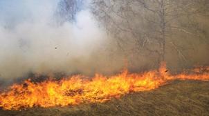 Incendies en Australie : la capitale Canberra en état d'alerte