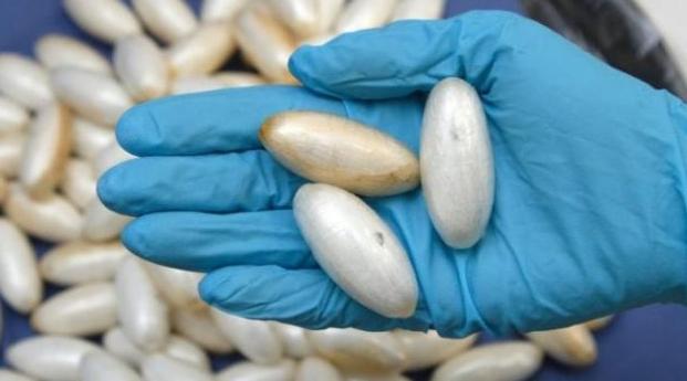 Casablanca: 865 grammes de cocaïne extraits de l'estomac d'un ressortissant gam…