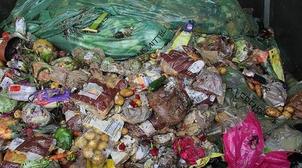 Plus de 10,5 tonnes de produits alimentaires impropres détruits durant les 10 p…