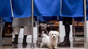 Européennes : Le taux de participation estimé à 51% dans l'UE à 27