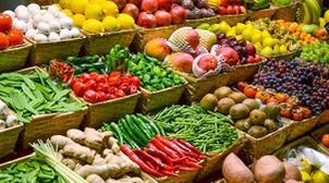 Casablanca-Settat : 235.000 tonnes de légumes attendues pour les cultures de pr…