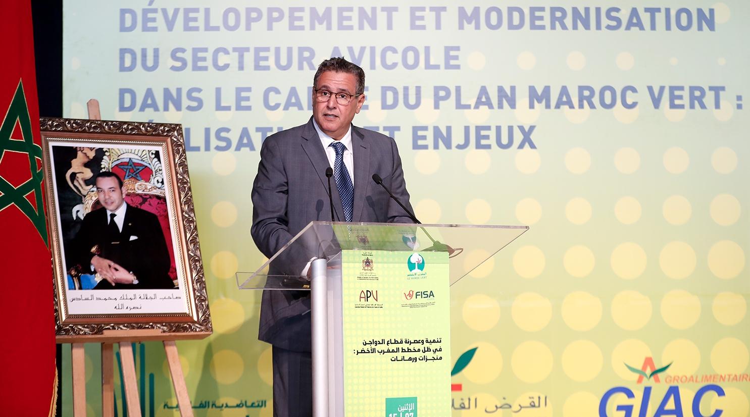 Plan Maroc Vert : les professionnels du secteur avicole font le bilan d'étape