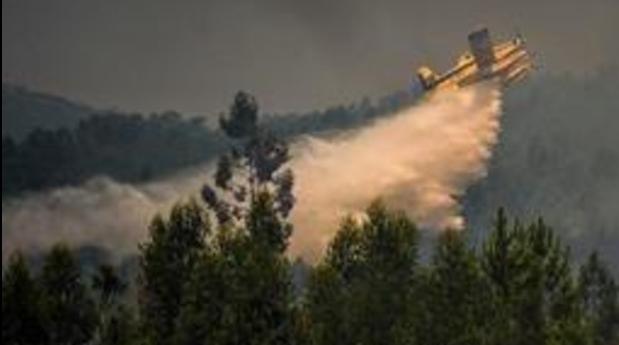 Eaux et forêts à 2M.ma: Une personne aurait délibérément mis le feu au Parc Bou…