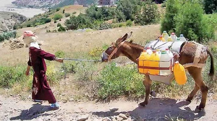 Fès-Meknès : 1,342 MMDH pour l'approvisionnement de plusieurs douars en eau pot…