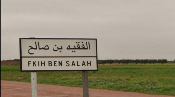 بهذه القيمة المالية.. إعطاء الضوء الأخضر لإحداث منطقة صناعية بجماعة برادية بإ...