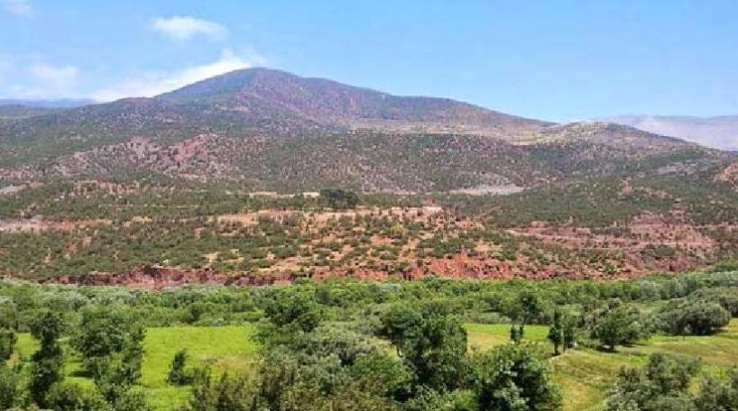 قضاء العطلة في المناطق الجبلية.. ظاهرة يقبل عليها المغاربة بأعداد متزايدة