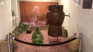 Musée du Parfum : Immersion dans le monde merveilleux des fragrances