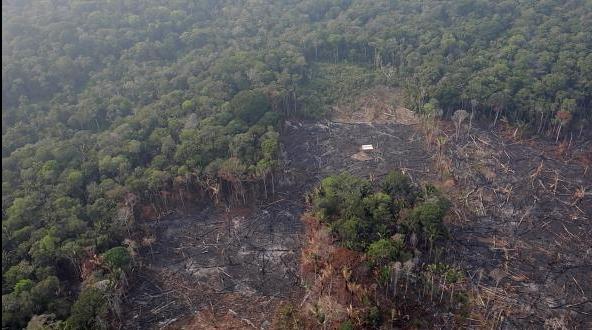 Feux en Amazonie : la situation s’aggrave et la crise s’internationalise