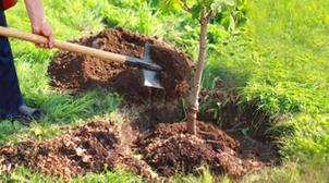 Agriculture : M. Akhannouch dresse le bilan du Plan Maroc Vert devant le Souver…
