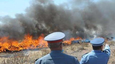 Incinération de près de 2 tonnes de chira à Laâyoune