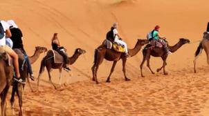 Maroc: Les recettes touristiques chutent de 53,8% en 2020 (DEPF)
