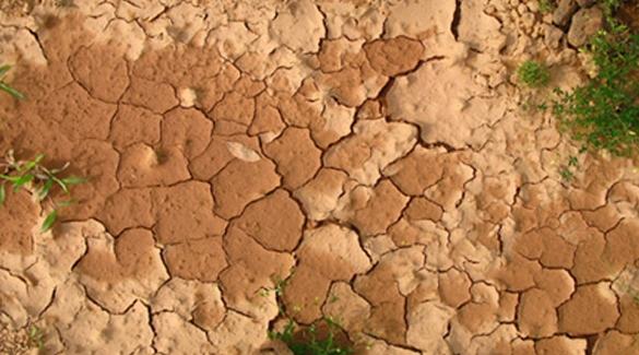 "Restore Africa Soils", un dispositif scientifique dédié au suivi de la cartogr…