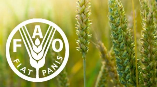 L'Angola élu vice-président du Conseil de la FAO