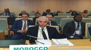 UA/COVID-19: Le Maroc s’engage sur le plan africain en mettant à contribution s…