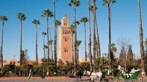 Marrakech : Réunion du comité exécutif de l'Union Africaine des associations de…