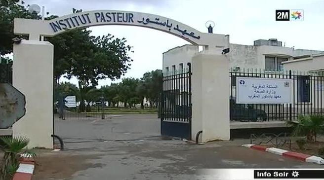 Covid-19: L'Institut Pasteur du Maroc assure continuer d'effectuer les tests PCR