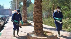 Sidi Slimane: Les autorités locales se mobilisent pour faire face à la propagat…