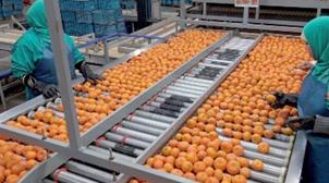 Agriculture et pêche maritime : Les professionnels assurent le bon déroulement …