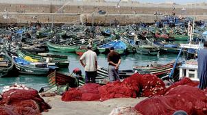 Safi : Reprise progressive des activités de pêche après près de trois semaines …