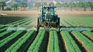 Covid-19: La production agricole nationale suit à une cadence normale (Ministèr…