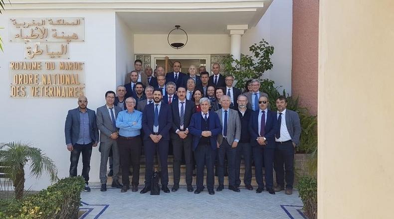 الهيئة الوطنية للأطباء البياطرة تساهم في الصندوق الخاص لتدبير جائحة فيروس كورونا
