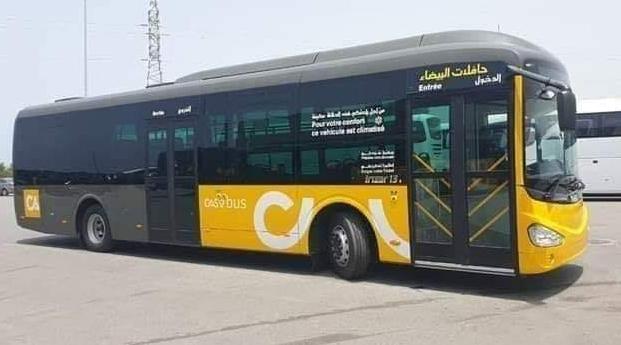 Casablanca : l'identité visuelle des nouveaux bus de "Casa Al Baida" dévoilée