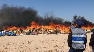 Laâyoune : Près de 12 tonnes de drogue incinérées