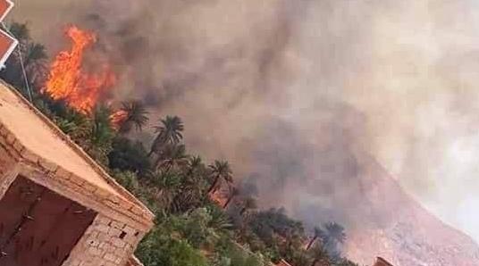 استمرار حرائق واحات أشجار النخيل بالجنوب.. النيران تتسبب في خسائر كبيرة لفلاح...