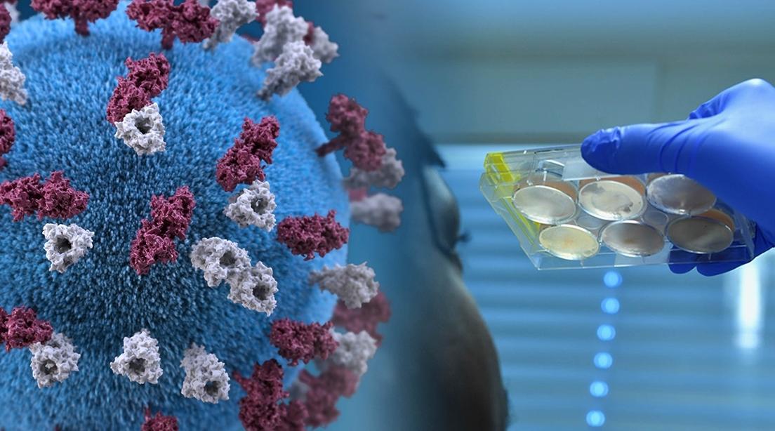 Covid-19: de premiers essais de vaccins sur des humains achevés en Russie