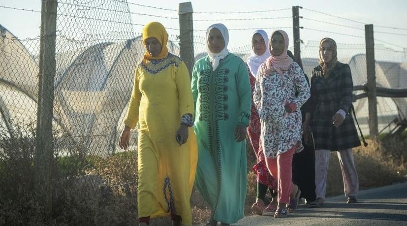 Rapatriement à partir de samedi des saisonnières marocaines travaillant en Espa…