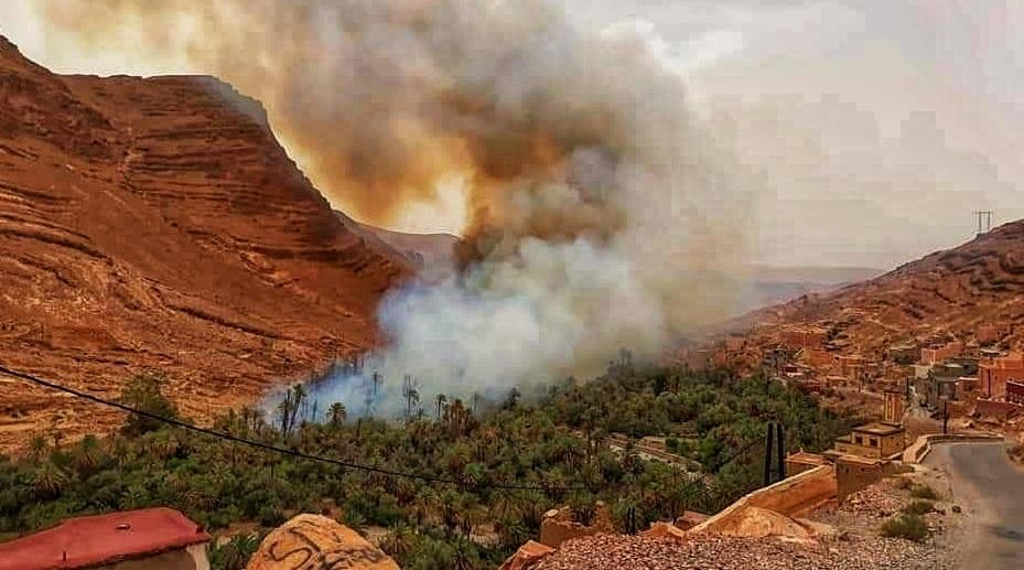 فعاليات مدنية تراسل الحكومة والبرلمان للتدخل العاجل لإنقاذ واحات الجنوب المغربي
