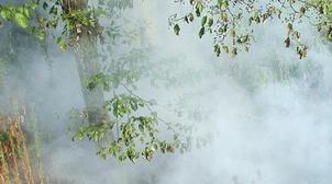 Al Haouz : Le feu de forêt déclaré à l'Ourika maîtrisé