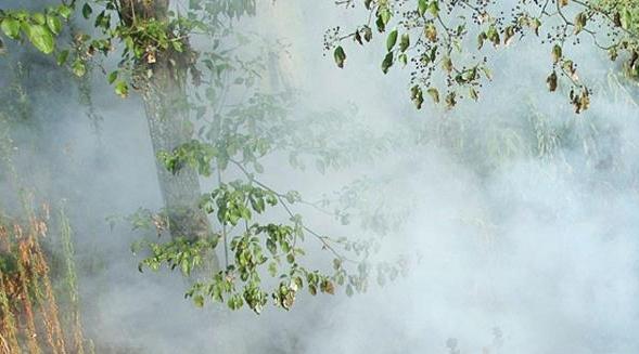 Al Haouz : Le feu de forêt déclaré à l'Ourika maîtrisé