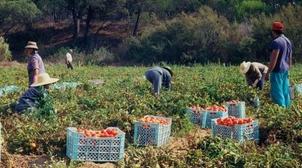 Maroc: l'économie marocaine a perdu 589.000 postes d'emploi au T2-2020 (HCP)