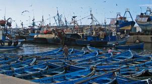Vaste opération de désinfection du port d'Essaouira après sa fermeture en raiso…