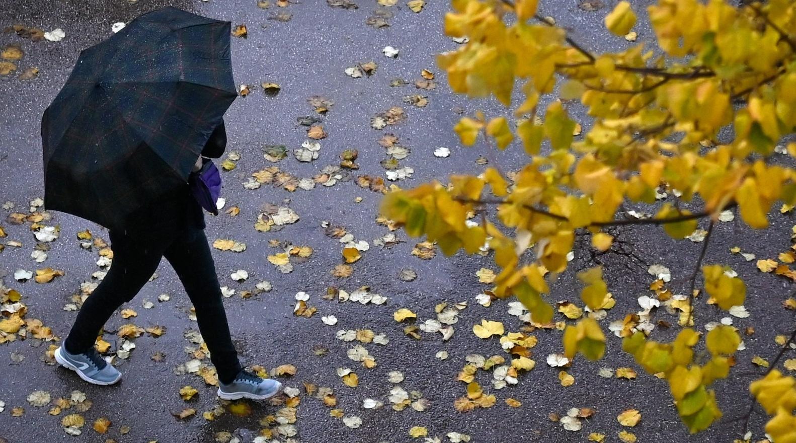 Maroc/ Météo : un temps pluvieux et des températures en baisse ce dimanche 28 f…